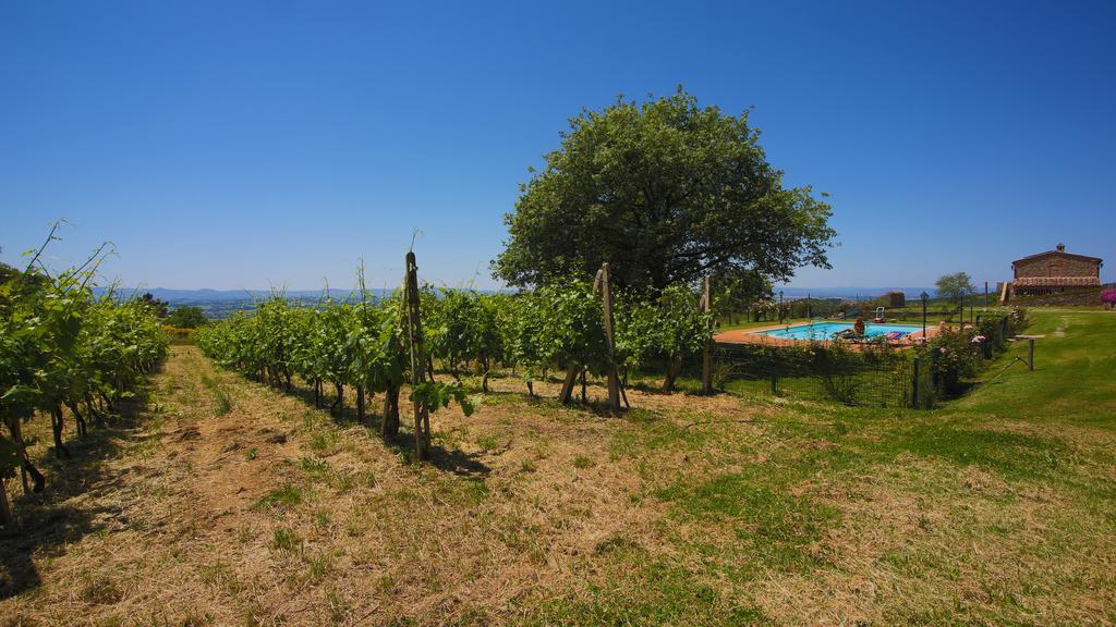 Willa Tenuta Angelici Winery Casa Contea With Pool And Panoramic Pool Cortona Terontola Pokój zdjęcie